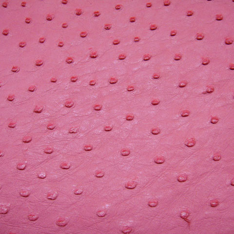 【展示商品】オーストリッチ参考商品