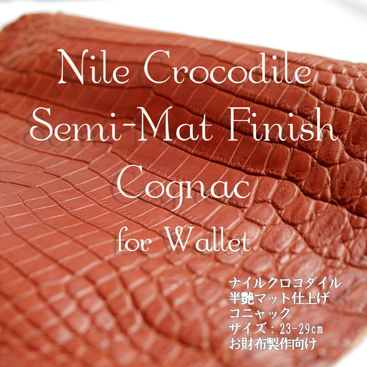 ナイルクロコダイル・半艶マット・コニャック＜長財布制作向け＞