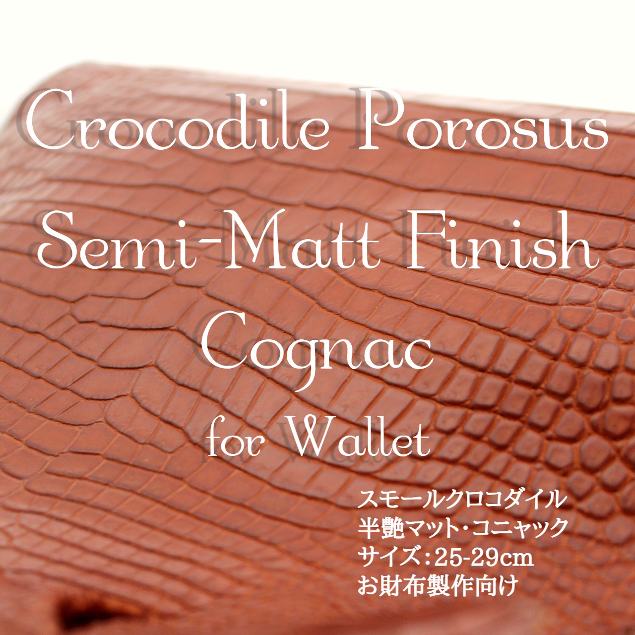 スモールクロコダイル・半艶マット・コニャック＜長財布制作向け＞