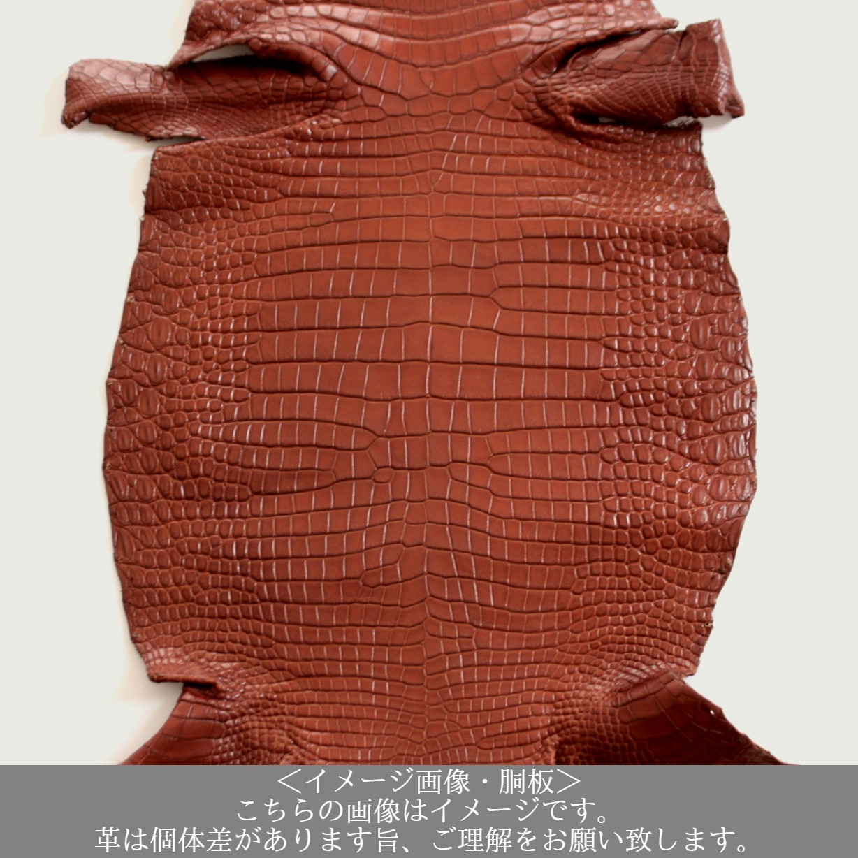 HTC ONLINE / スモールクロコダイル・半艶マット・コニャック＜長財布